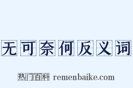无可奈何反义词是什么意思的图片